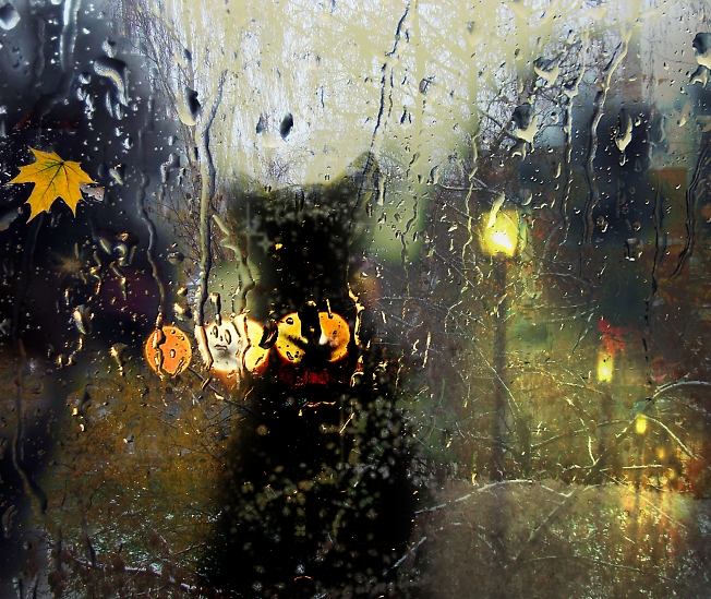 Что рисует осенний дождь на стекле?
