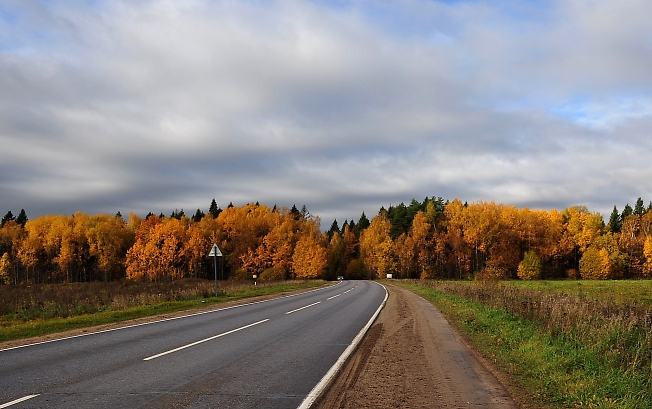 Осенними дорогами