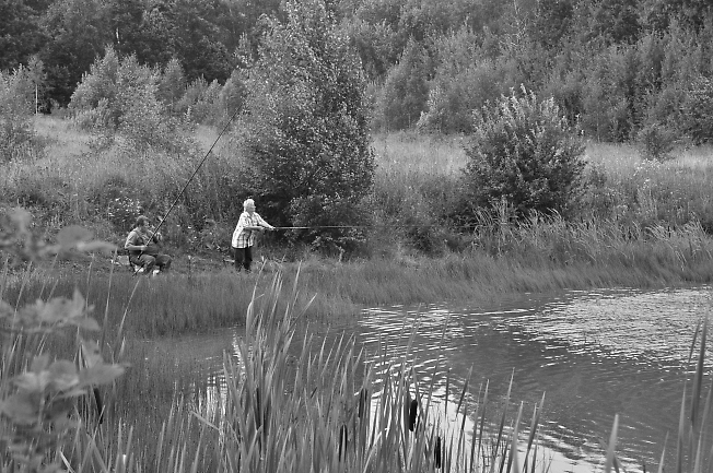 Рыбаки на дачном пруду