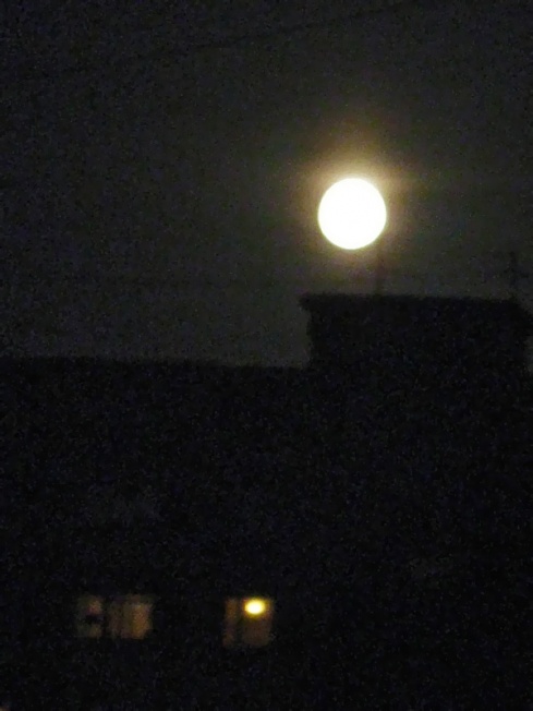 Друзья, за окном красивая луна, у кого хороший объектив, подарите нам ее :)