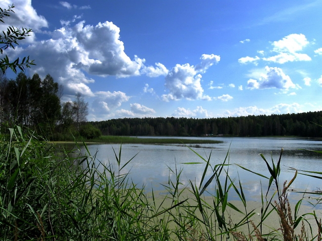 Озеро, недалеко от д. Власово