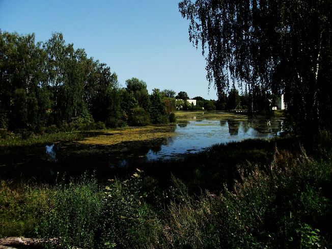 Струнино. 