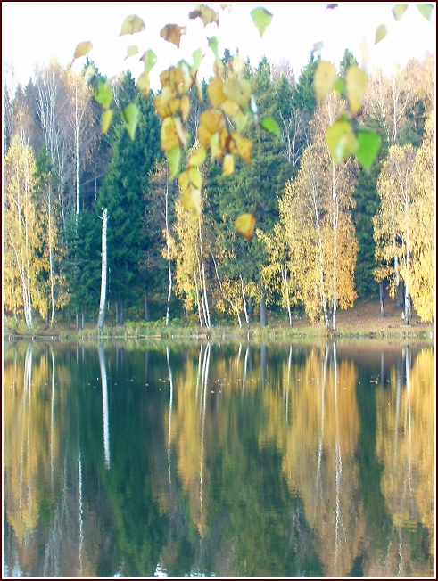 На Лесном озере