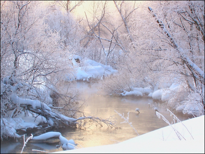 Река Торгоша зимним утром