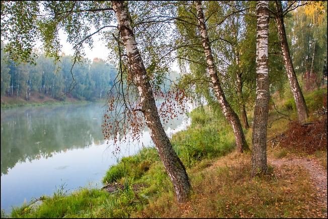 Позднее лето на Вифанских прудах