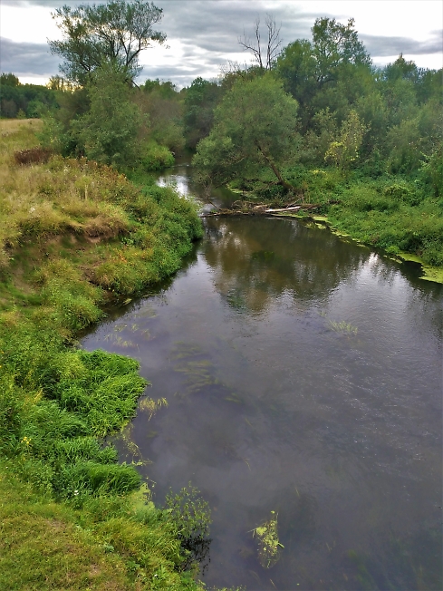 Река Торгоша