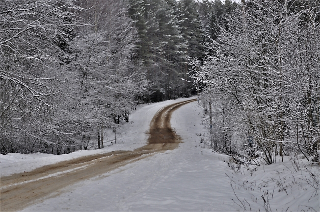  Зимняя дорога