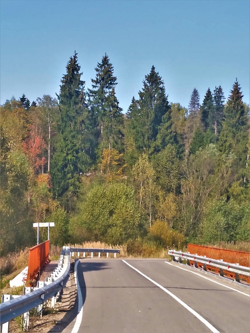 Мост через р. Торгошу в сторону д. Еремино