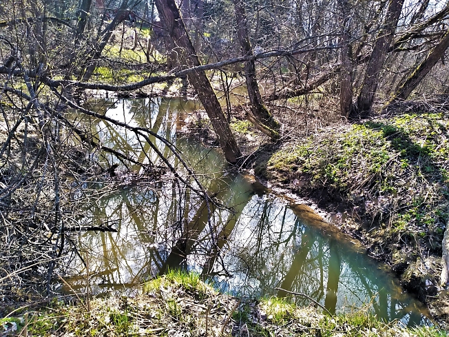 Вдоль с. Спасс-Торбеево протекает небольшая река Козелка