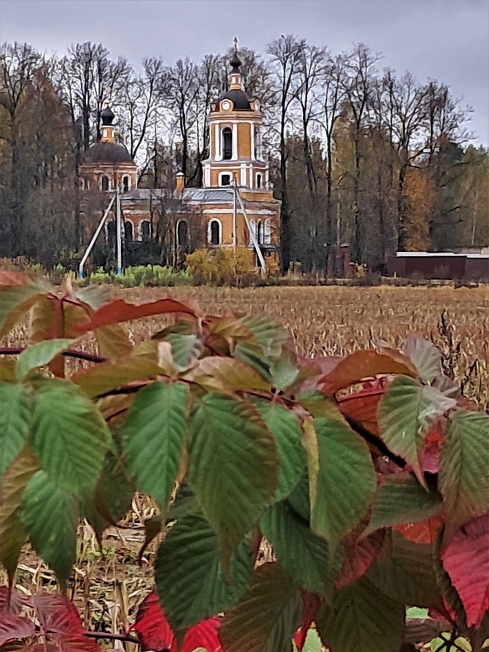  Спасский храм, с. Спасс-Торбеево