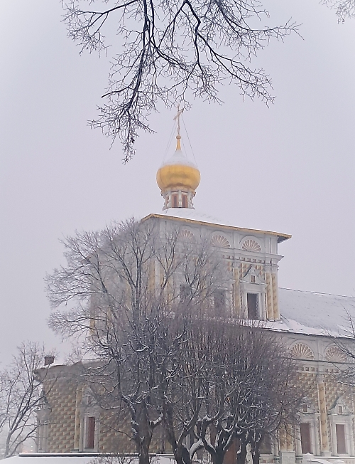 СНЕЖНАЯ БЕЛИЗНА