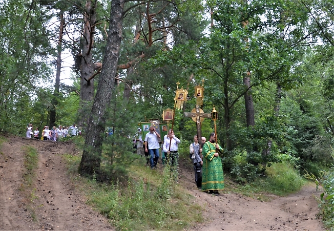 Крестный ход в Радонеж к преподобному Сергию(2)