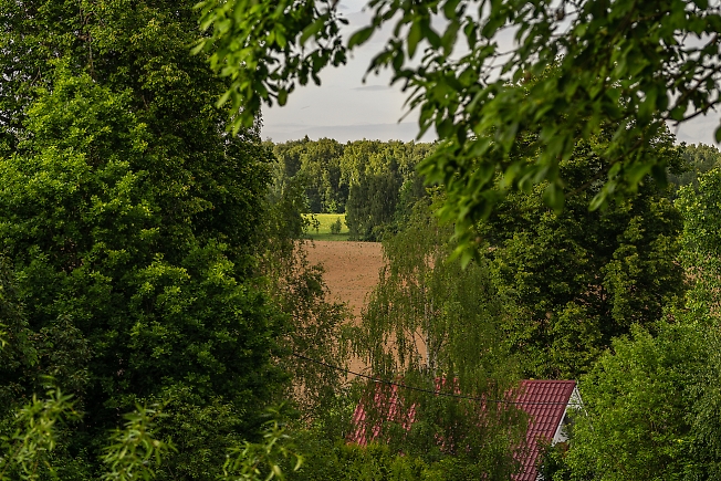 Пейзаж в деревне