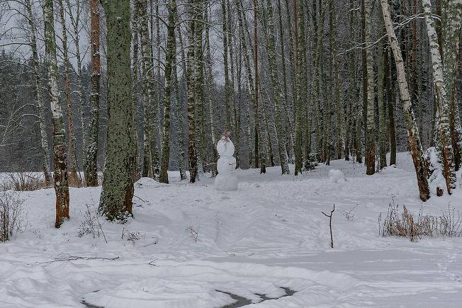 Одинокий снеговик в лесу