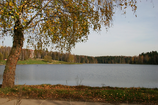 Озеро Лесное. 
