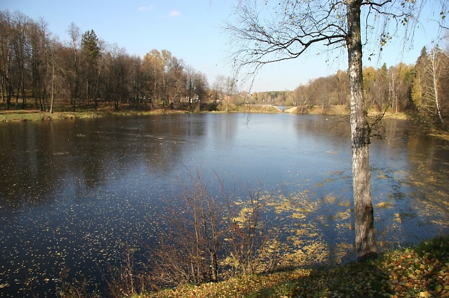 Первый лёд. Средн. Кобушинский пруд. 2009. 