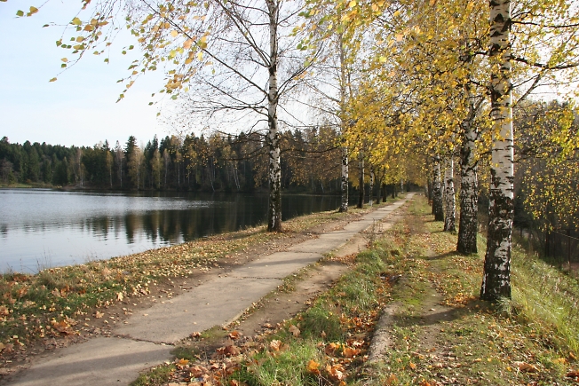 Озеро Лесное. 