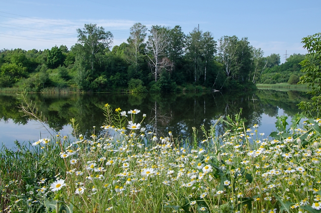 Мертвое лето 2016. Разгар это. Разгар это. Разгар это. Китайский пляж.