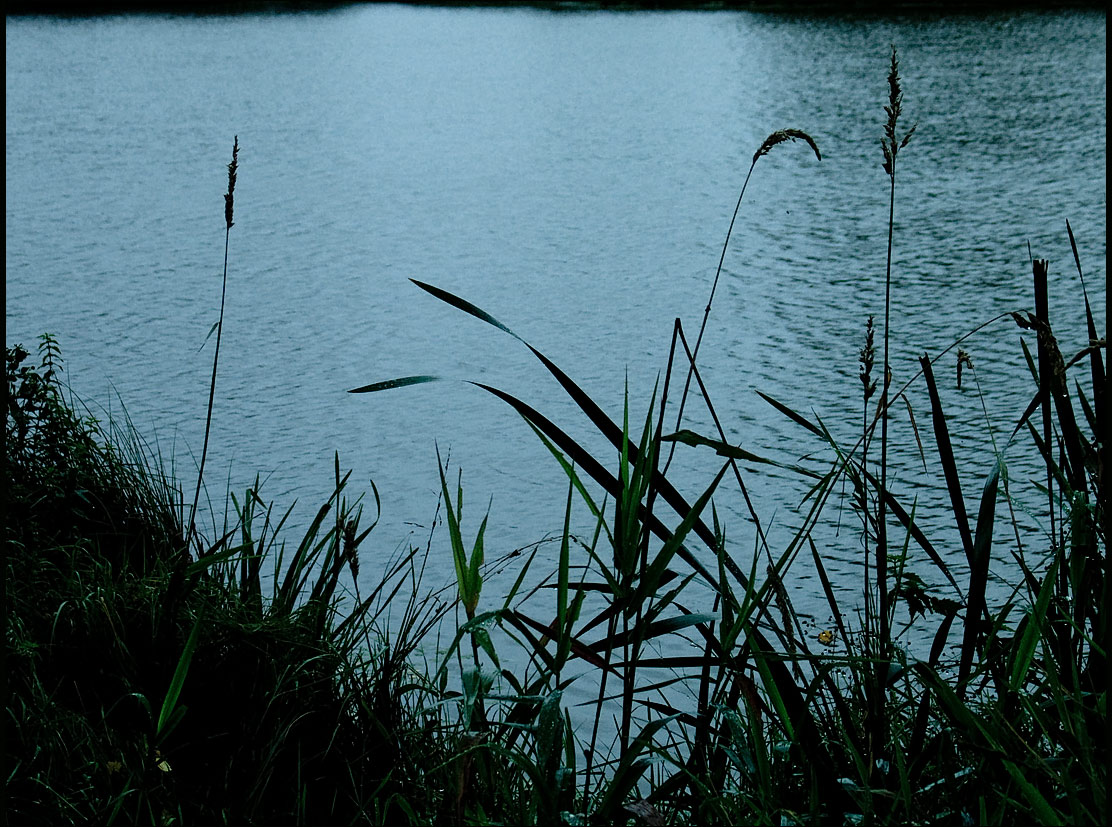 Интернет в озерах. Река Бентота Шри Ланка. Водоемы Владимирского. Проверка пруда. Экономия озеро.