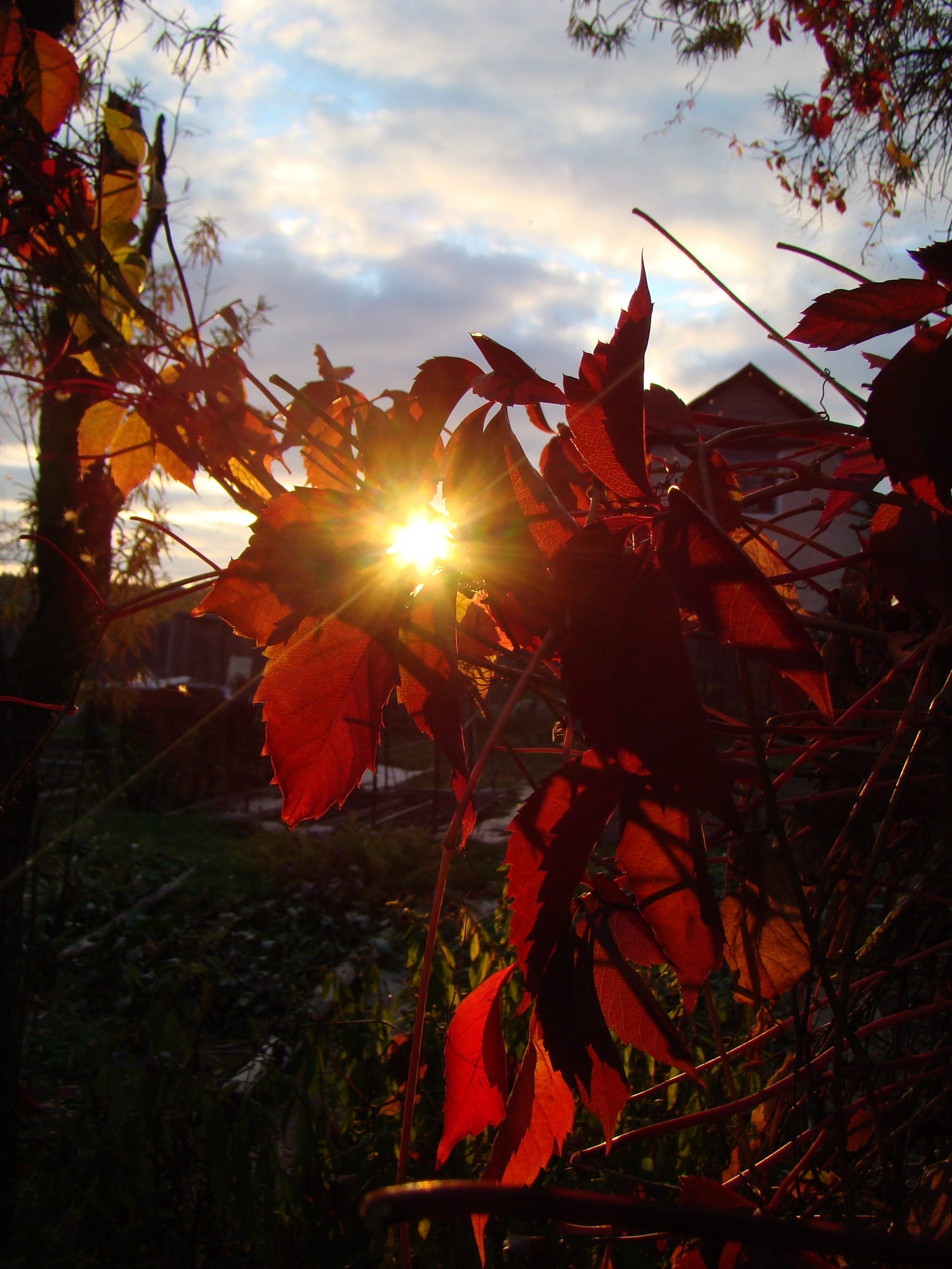 Утро октября картинки красивые. Осеннее солнце. Осень солнце. Солнце осенью. Утро осень солнце.