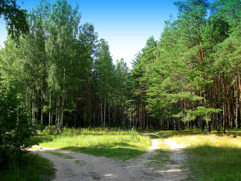 Село Власово Шатурский район