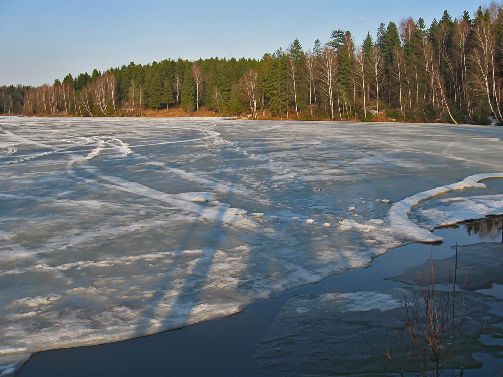 Интернет в озерах. Озеро весной. Талый снег. Лесная Талая вода. Талая вода фото.