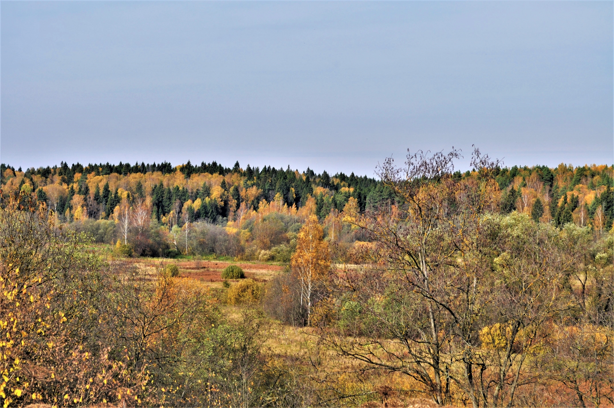 Может ли вас взволновать красота осеннего леса. Уральские красоты осенью фото. Краса осени 2017 Крестцы.