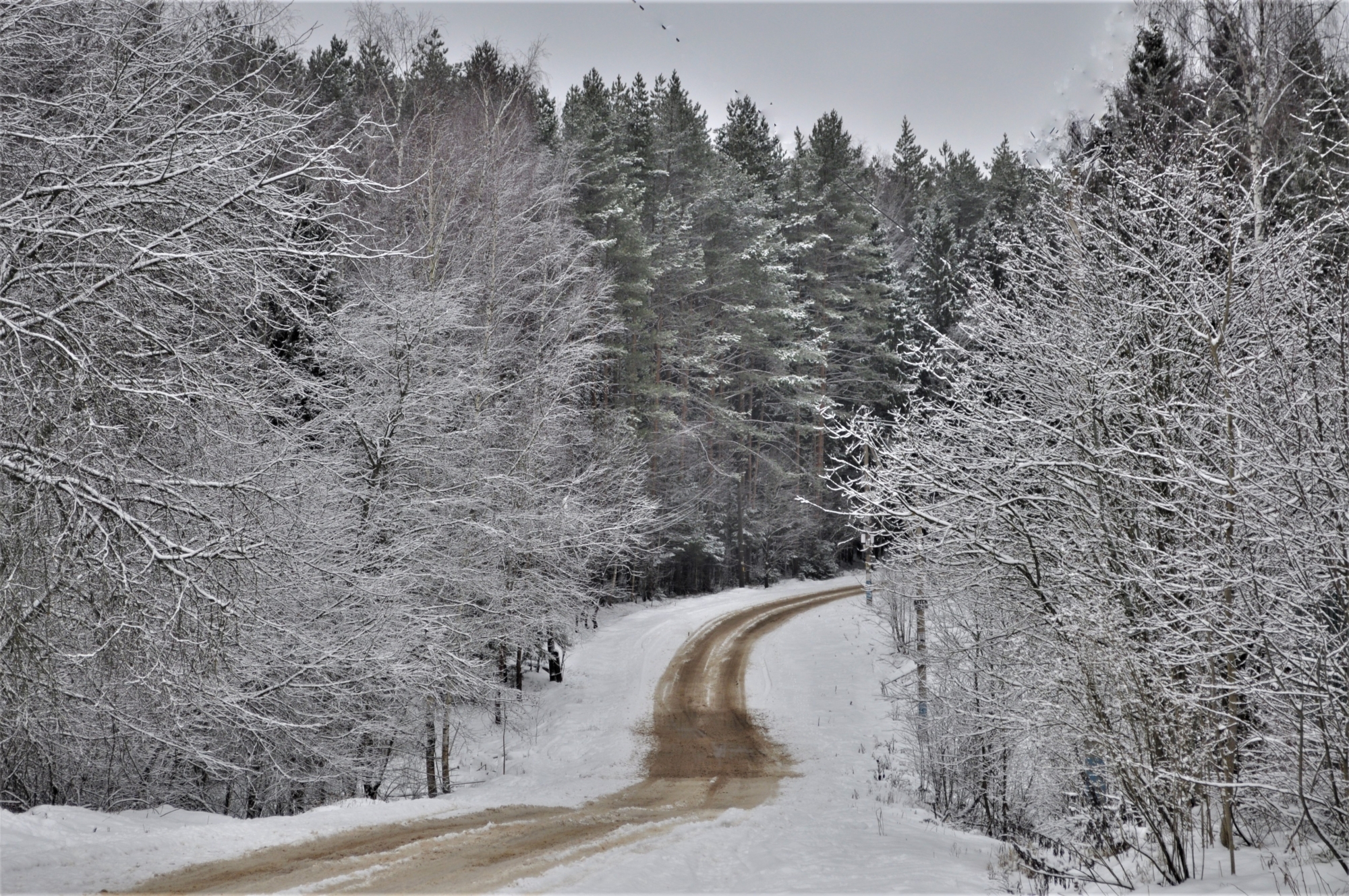 Зимняя дорога песни. Зимняя дорога. Владимирская область зима. Зимняя дорога фото. Дорога зимняя ранняя.